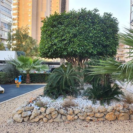 Mar Blau 42 Leilighet Benidorm Eksteriør bilde